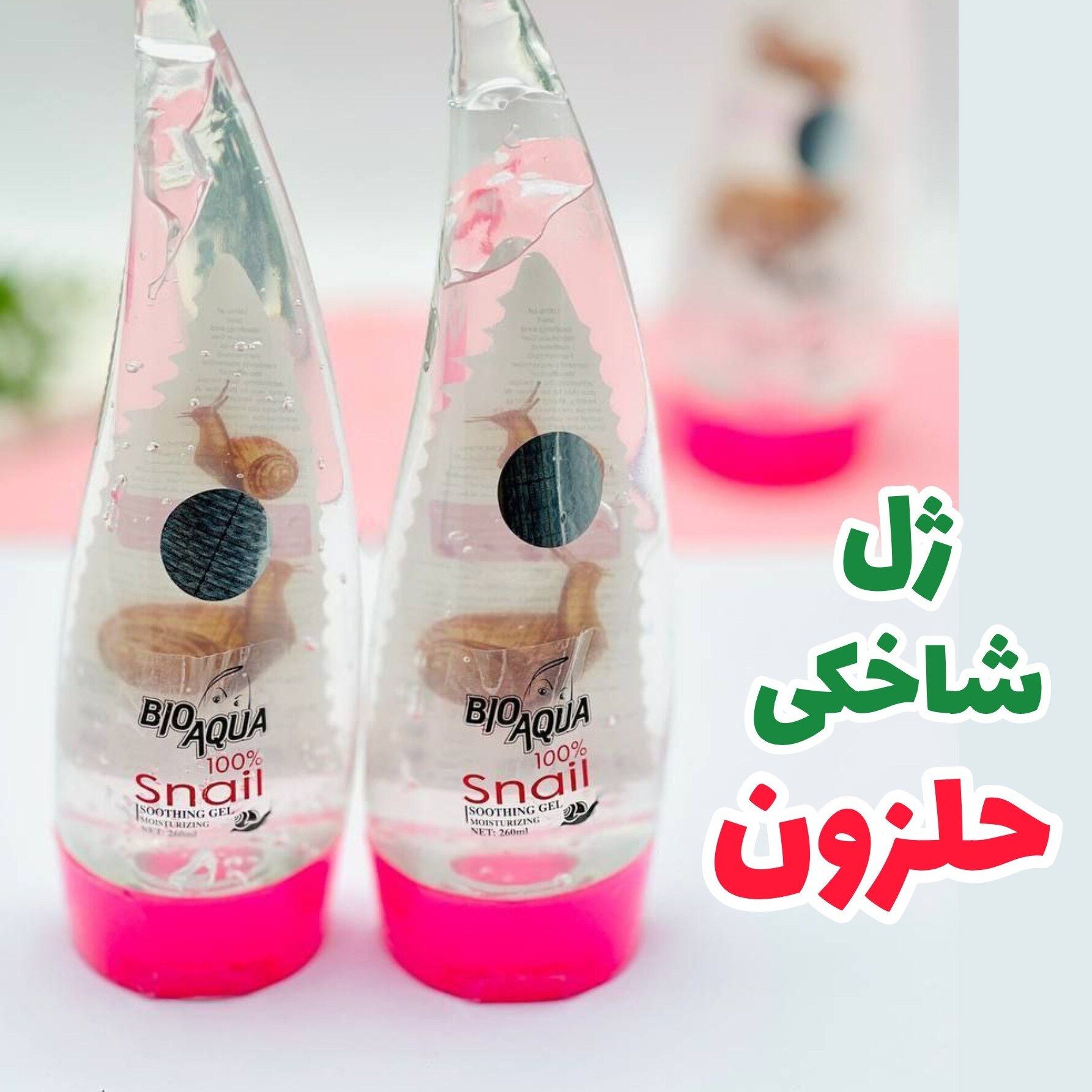 ژل شاخکی حلزون نمای ۲